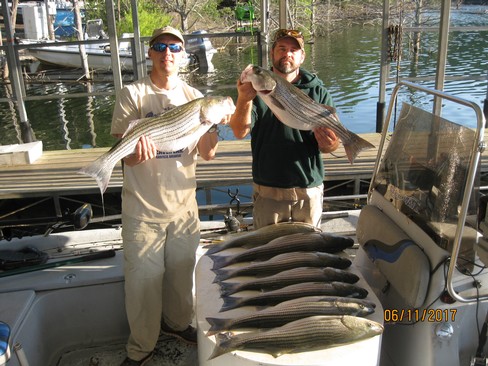 Nice Striped Bass